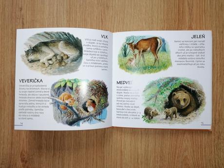 Kniha- zvieratá v 4 ročných obdobiach, 