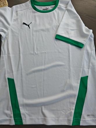 Puma drycell, puma,152