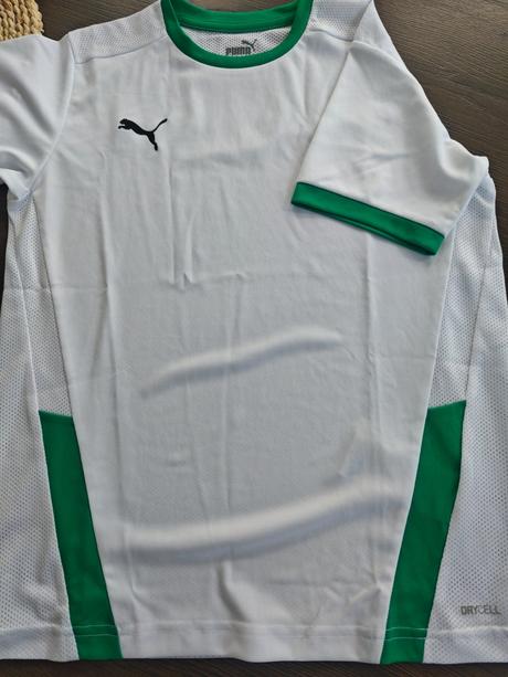 Puma drycell, puma,152