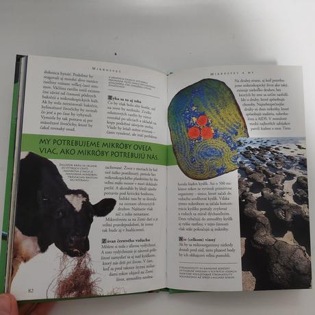Mikrosvet,