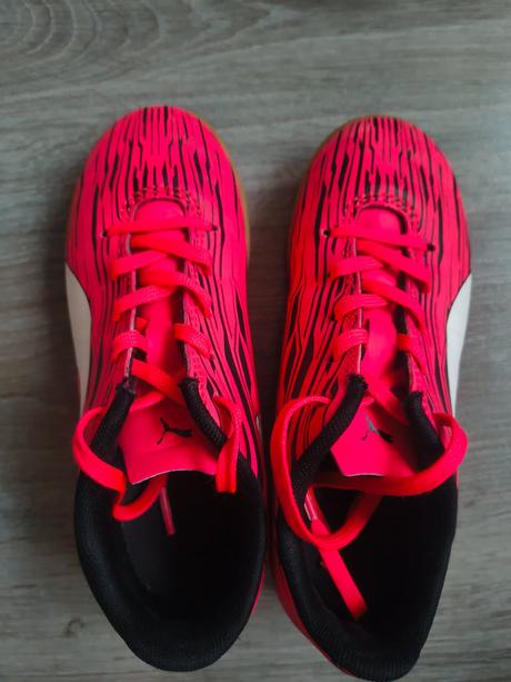 Halovky, puma,31