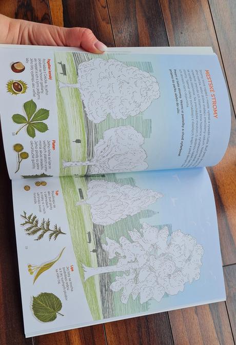 Montessori zosit aktivit stromy,