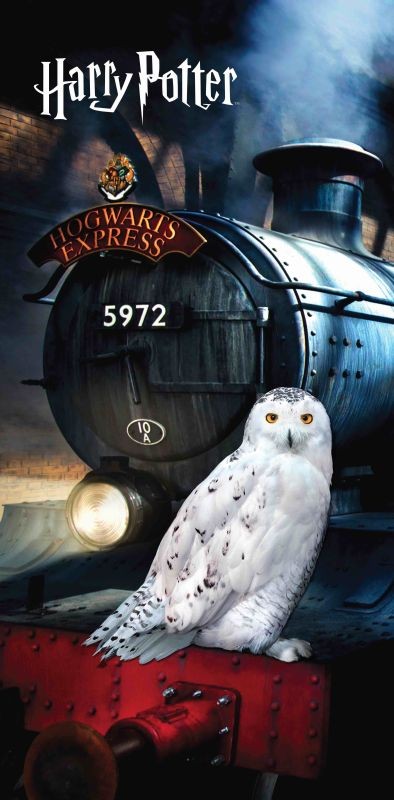 Osuška harry potter hedwig 70/140,
