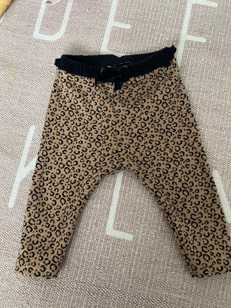 Leginky, zara,68