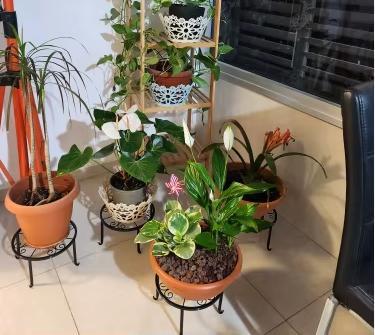 Stojan na kvety, kov, čierny a biely, 