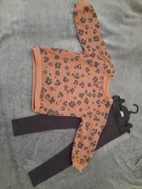 Predam domacu supravu, f&f,104