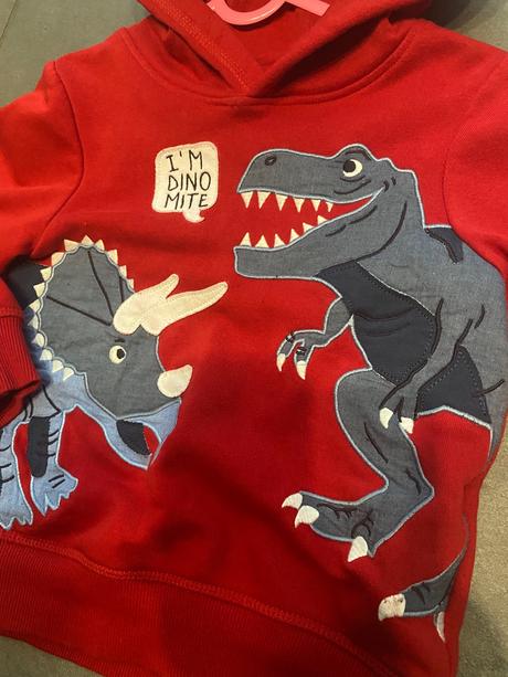 Mikina s dinosaurom, c&a,104