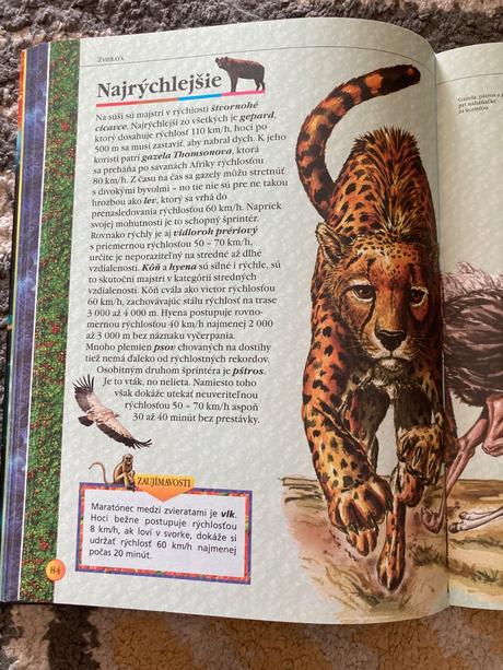 Svetové rekordy (2005), 