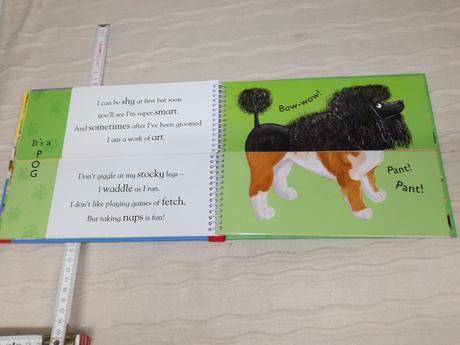 Nosy crow flip flap dogs sp20,