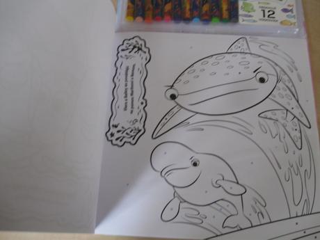 Knižka/maľovánka - maľovanie podľa farieb,