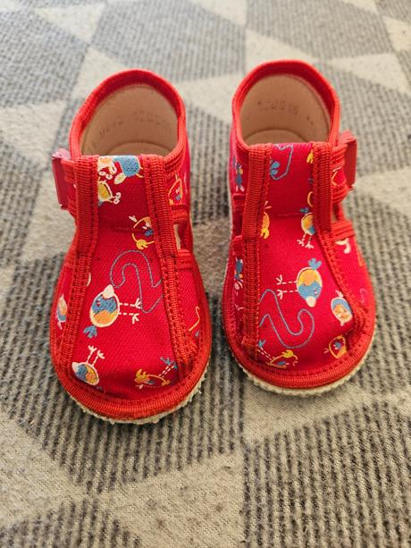 Papučky rak, rak,17