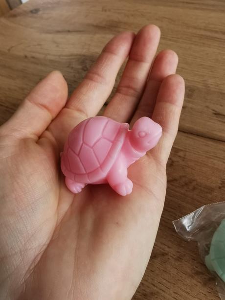 Minimydlá korytnačky, 