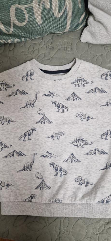 Mikina dino, f&f,116