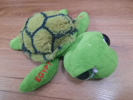 Plyšová korytnačka, 