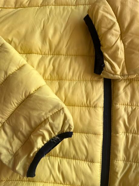 Žltá jarná vetrovka, reserved,164