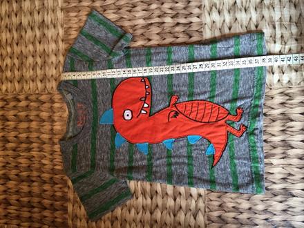 Krásne tričko s dinom, next,86