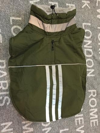 Bunda pre stredneho psa, 