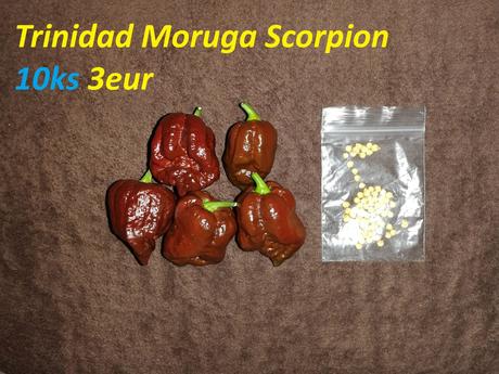 Semená čili/chilli papričiek, 
