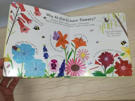 Usborne first q&a how do flowers grow njul18,