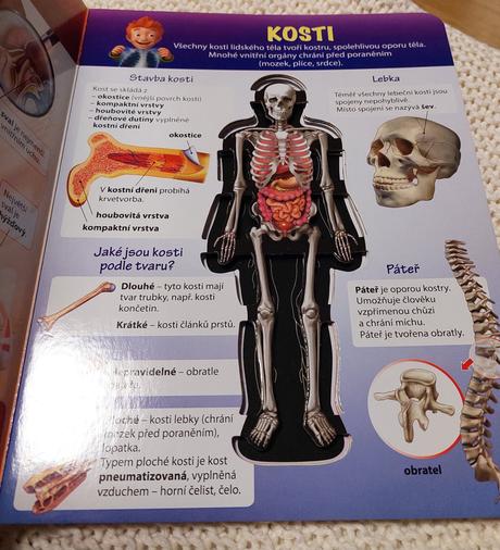 Kniha naše tĕlo od infoa, 