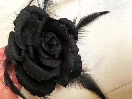 Zaujímavá brošňa, 