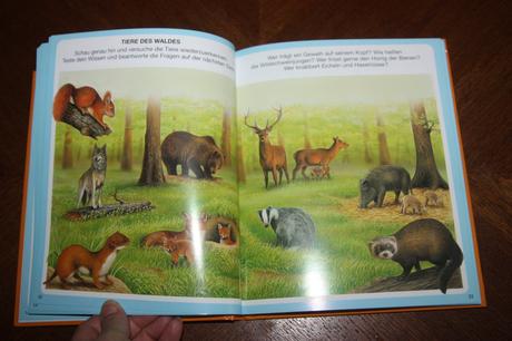 Dein buntes wörterbuch 5 ks, 