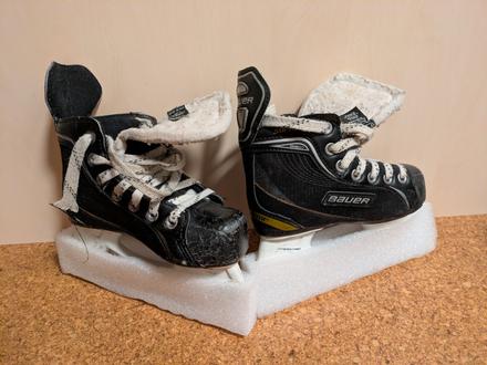 Ladove korcule, bauer,31