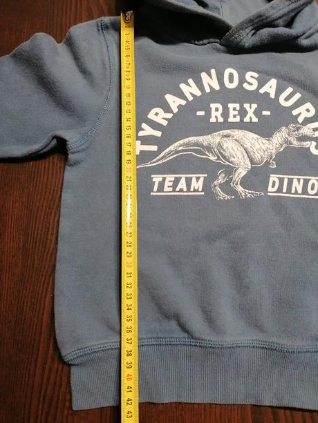 Dino mikina, h&m,110