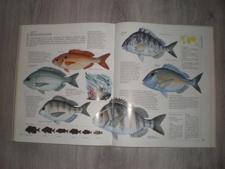Kniha veľká obrázková encyklopédia rybárstva, 