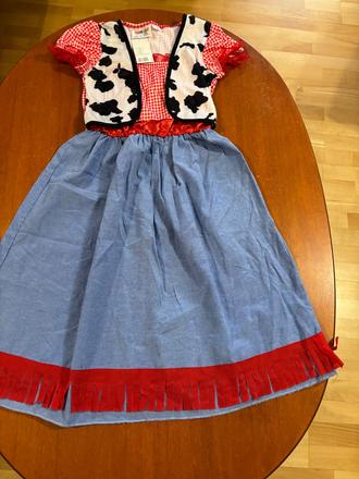 Karnevalový kostým,