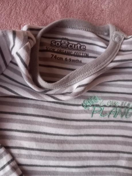 Body organická bavlna, pepco,74