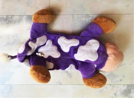 Organizér milka, 
