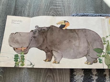 Čo sa sníva mrožovi (1969), 