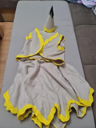 Kostým na karneval, 