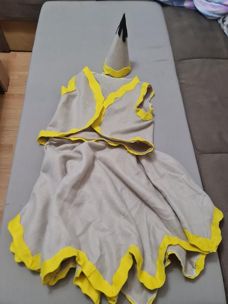 Kostým na karneval, 