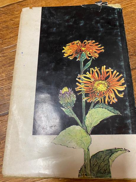 Pestovanie liečivých rastlín na malých plochách,