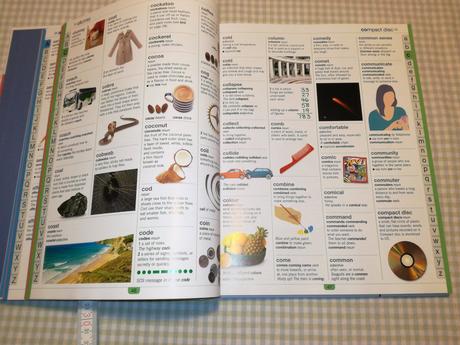 Children's illustrated dictionary hb au21, 