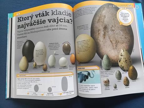 Neuveriteľný svet,