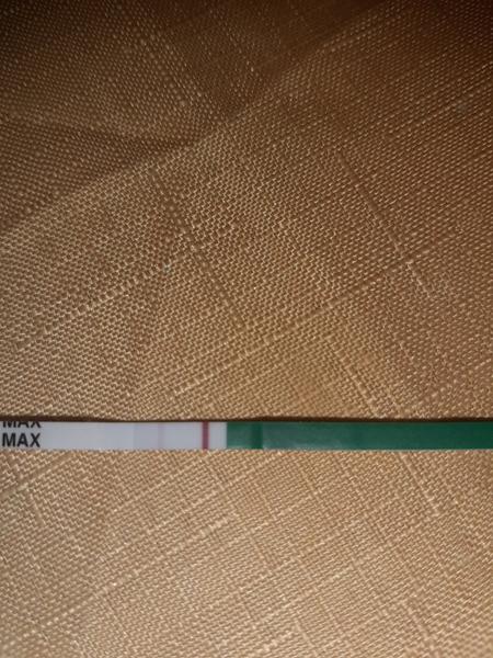 Myslíte, že som tehotná? Test ukázal toto