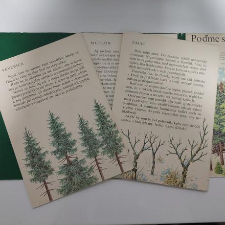 Poďme spolu do hory, 