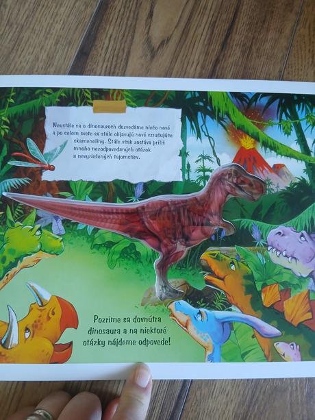 Donisaurus, 