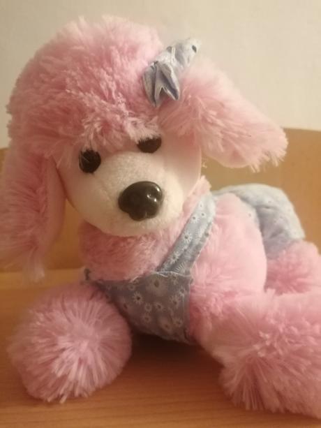 Psík do kočiarika, 