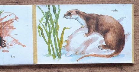 Drobné zvieratká, jozef jaňák, mladé letá, 1980, l, 