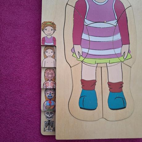 Vkladačka - ľudské telo, 