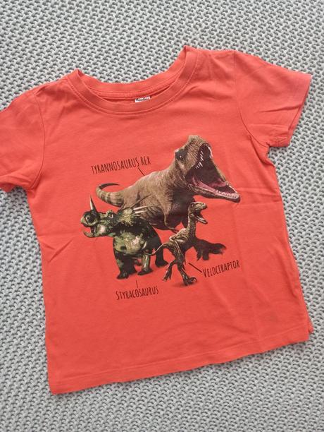 Balík oblečenia veľ.92/98 pre dinomaniaka, 86–98