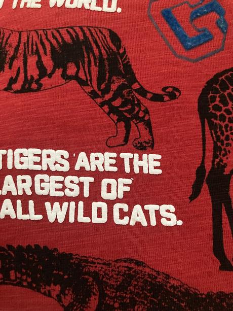 Next safari tričko veľ. 110/116, next,116