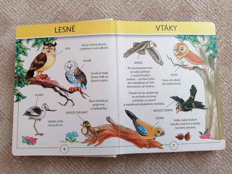 Moja prvá kniha o lese,