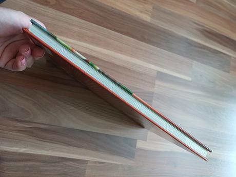 Pikantná kuchyňa tex-mex, 