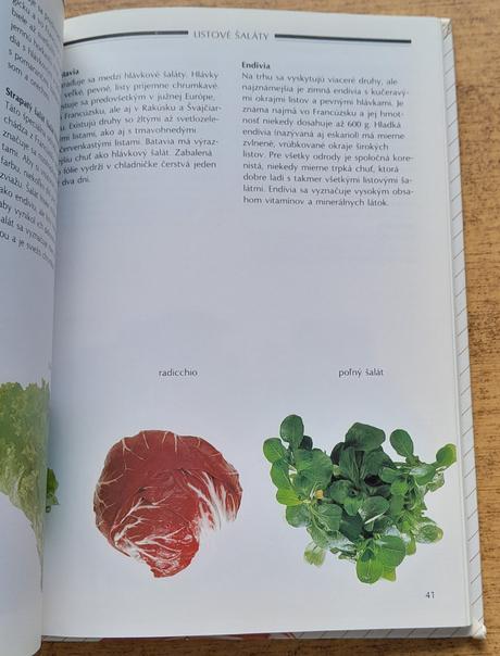 Šaláty svieže a chutné,