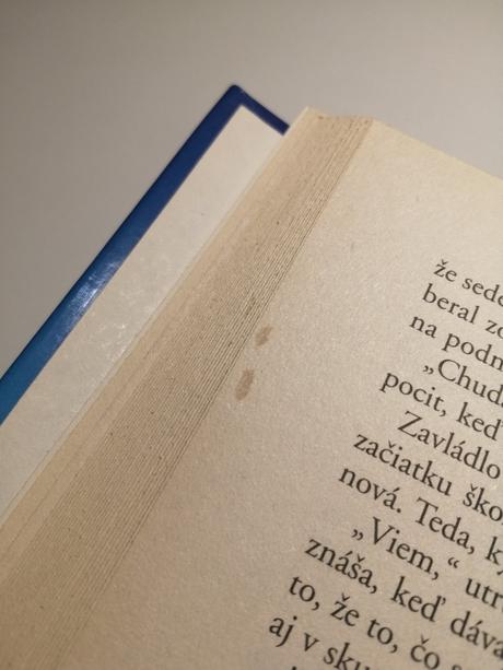 Meg cabotová - princezná na večierku, 